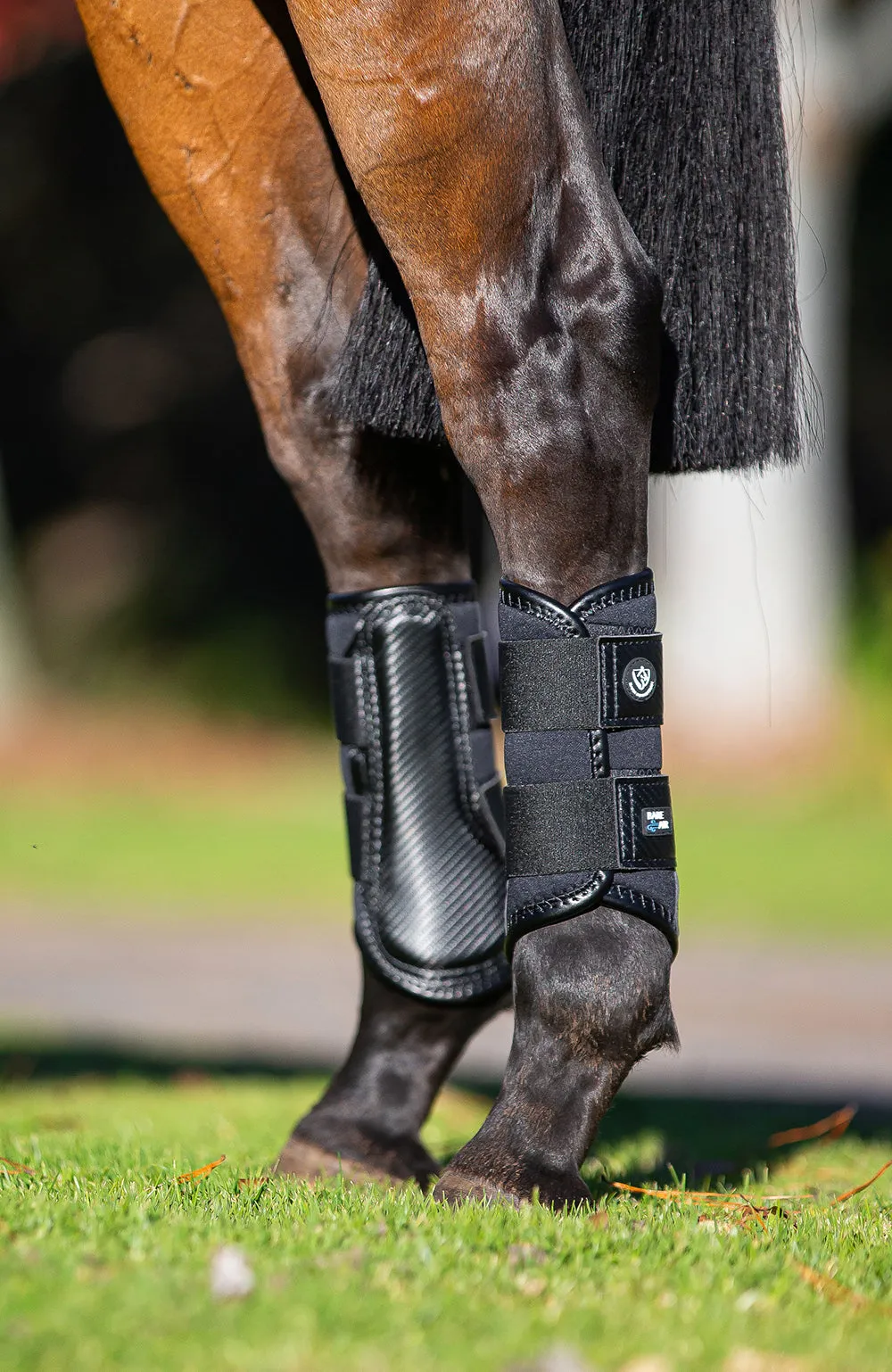 BARE Horse Wear - AIRFLOW Carbon Brushing Boots - Black