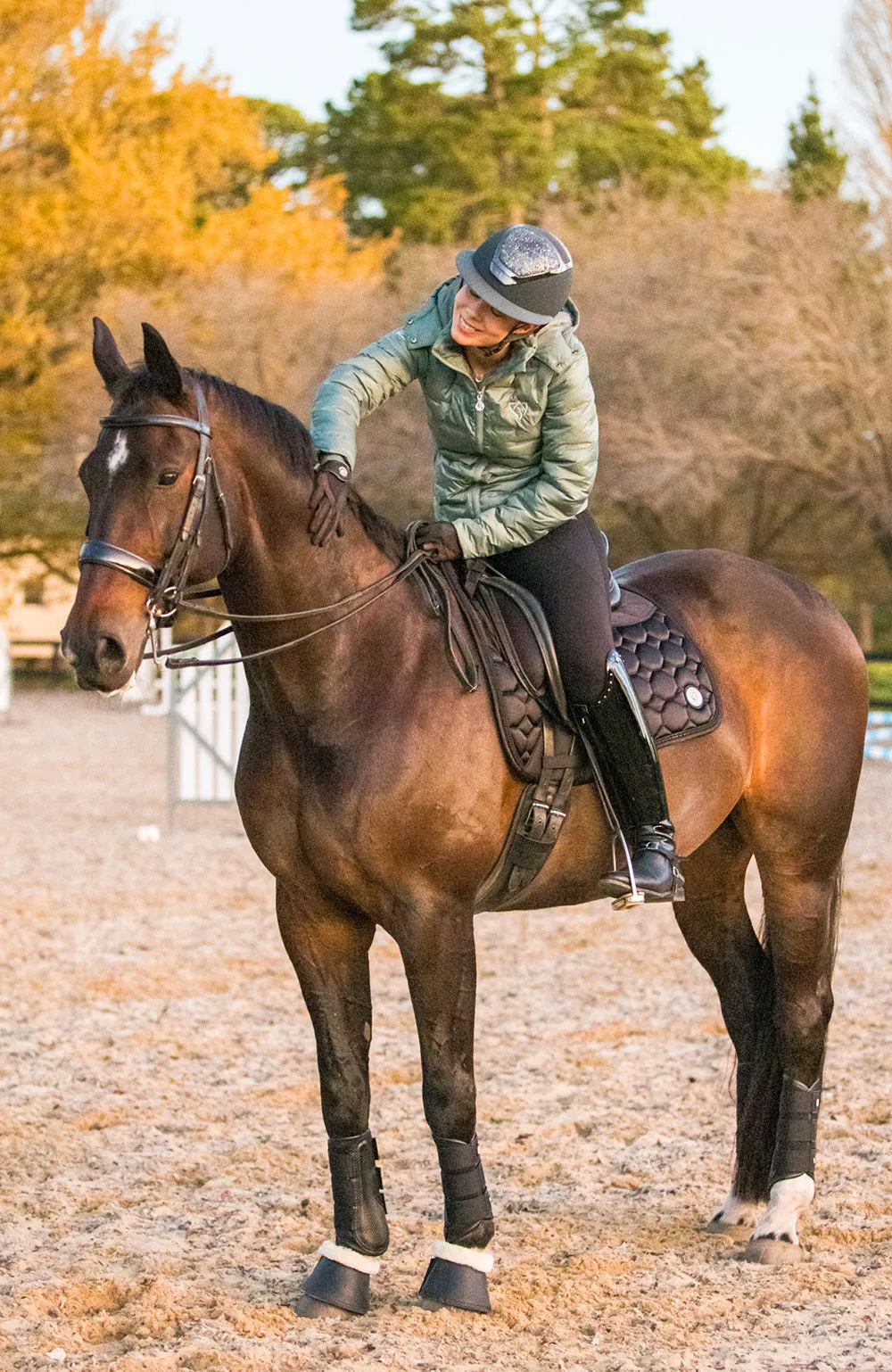 BARE Horse Wear - AIRFLOW Carbon Brushing Boots - Black