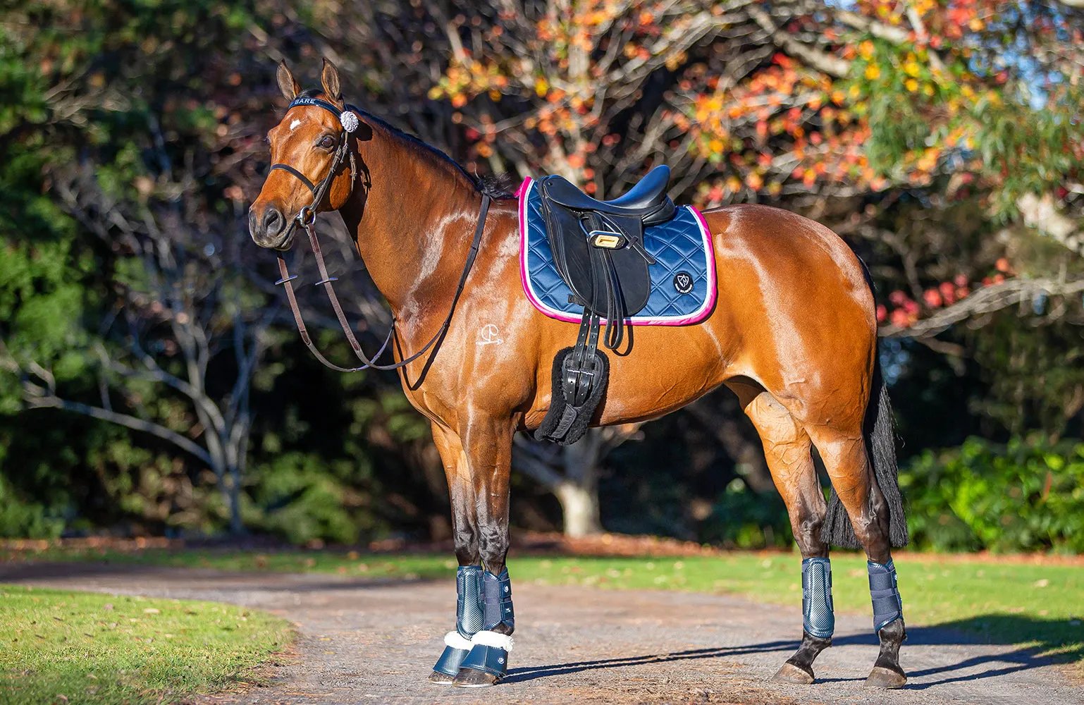 BARE Horse Wear - AIRFLOW Carbon Brushing Boots - Navy