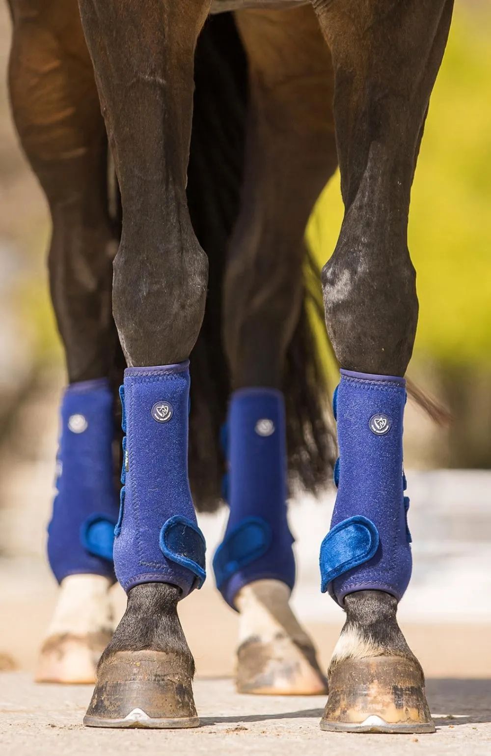 BARE Horse Wear - AIRFLOW Pro Sport Boots - Blue