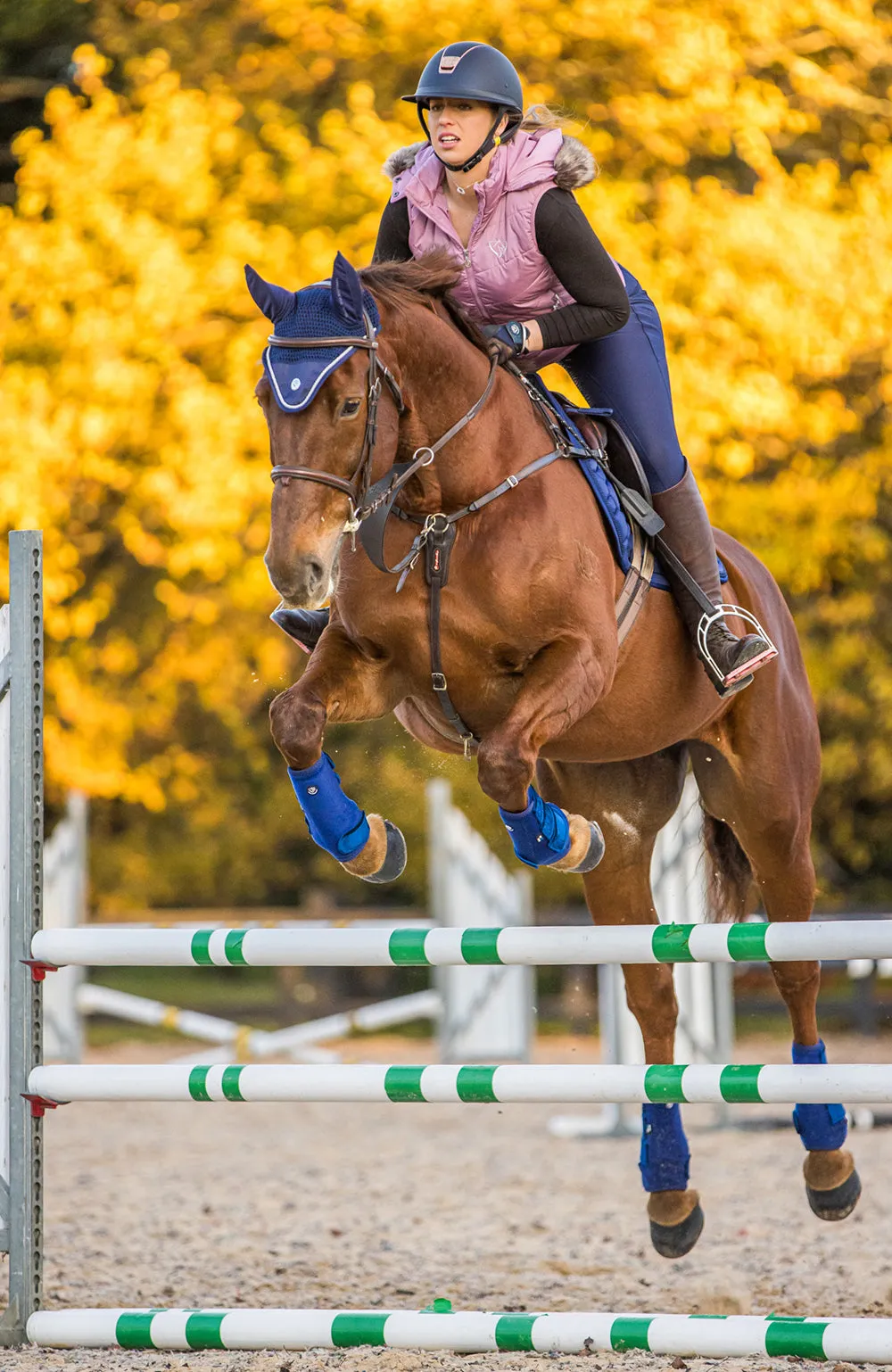 BARE Horse Wear - AIRFLOW Pro Sport Boots - Blue