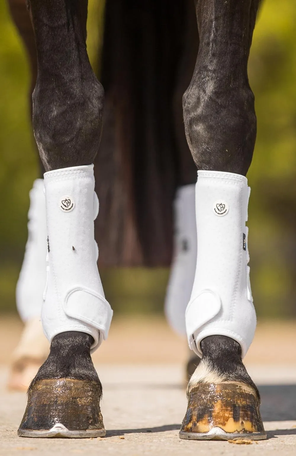 BARE Horse Wear - AIRFLOW Pro Sport Boots - White