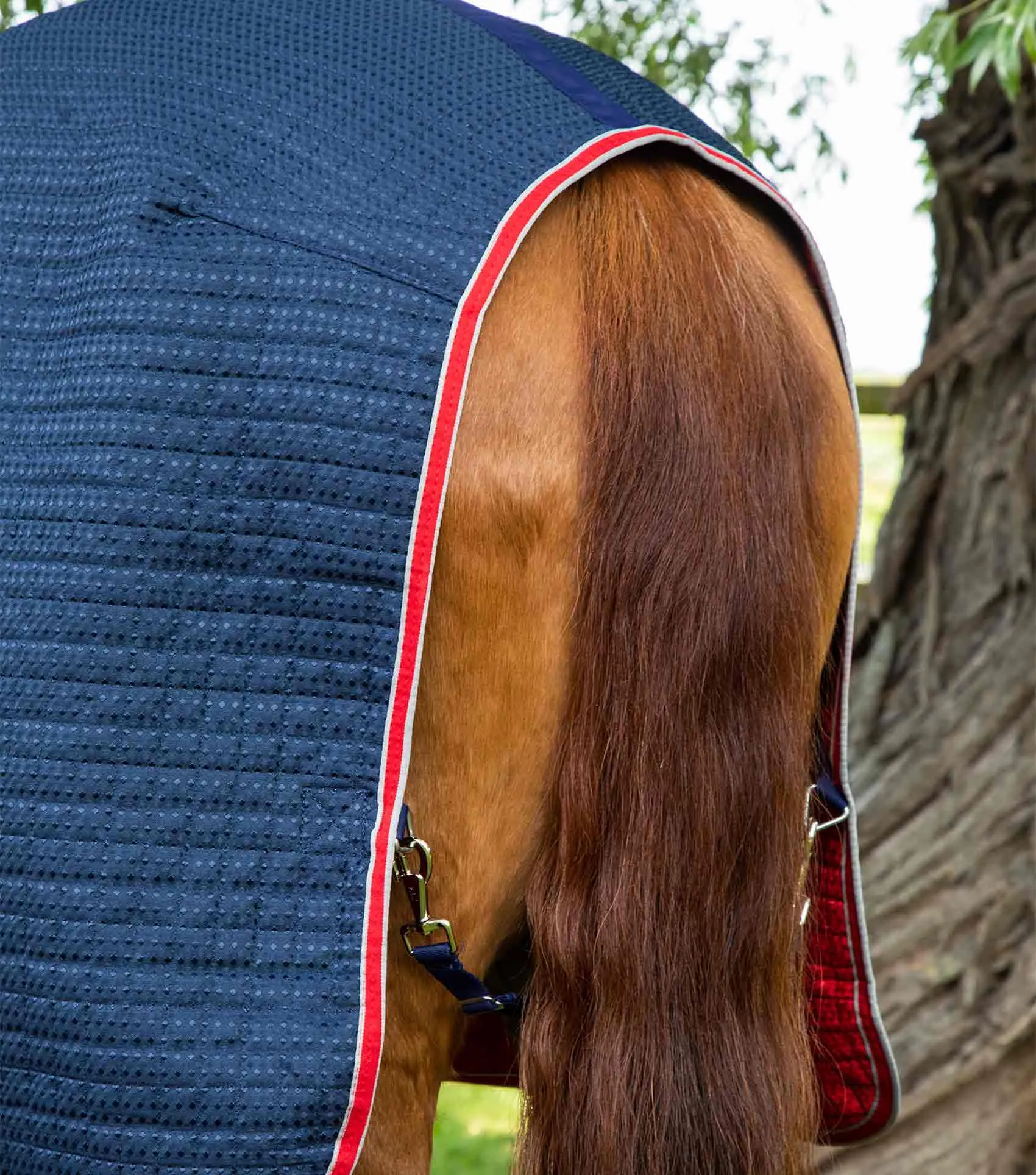 Dry-Tech Horse Cooler Rug Navy