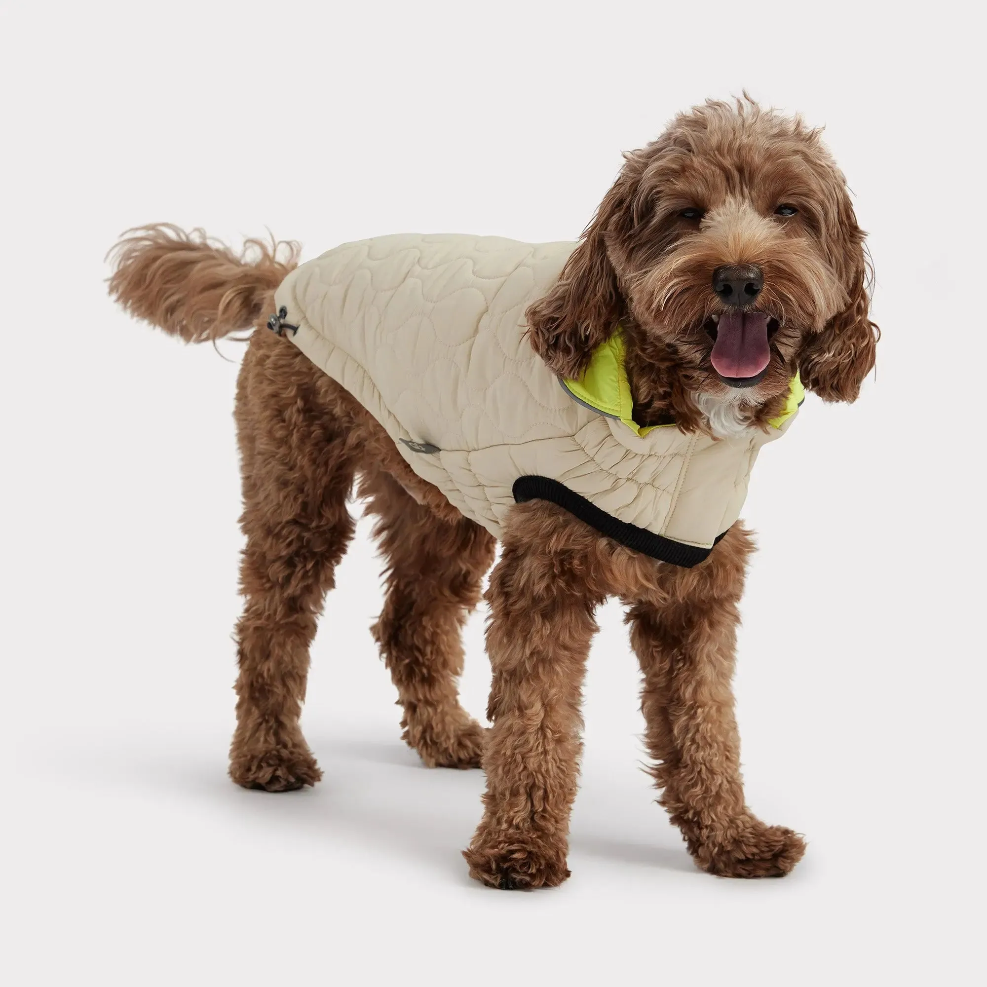 Reversible Chalet Dog Jacket | Sand / Neon Yellow