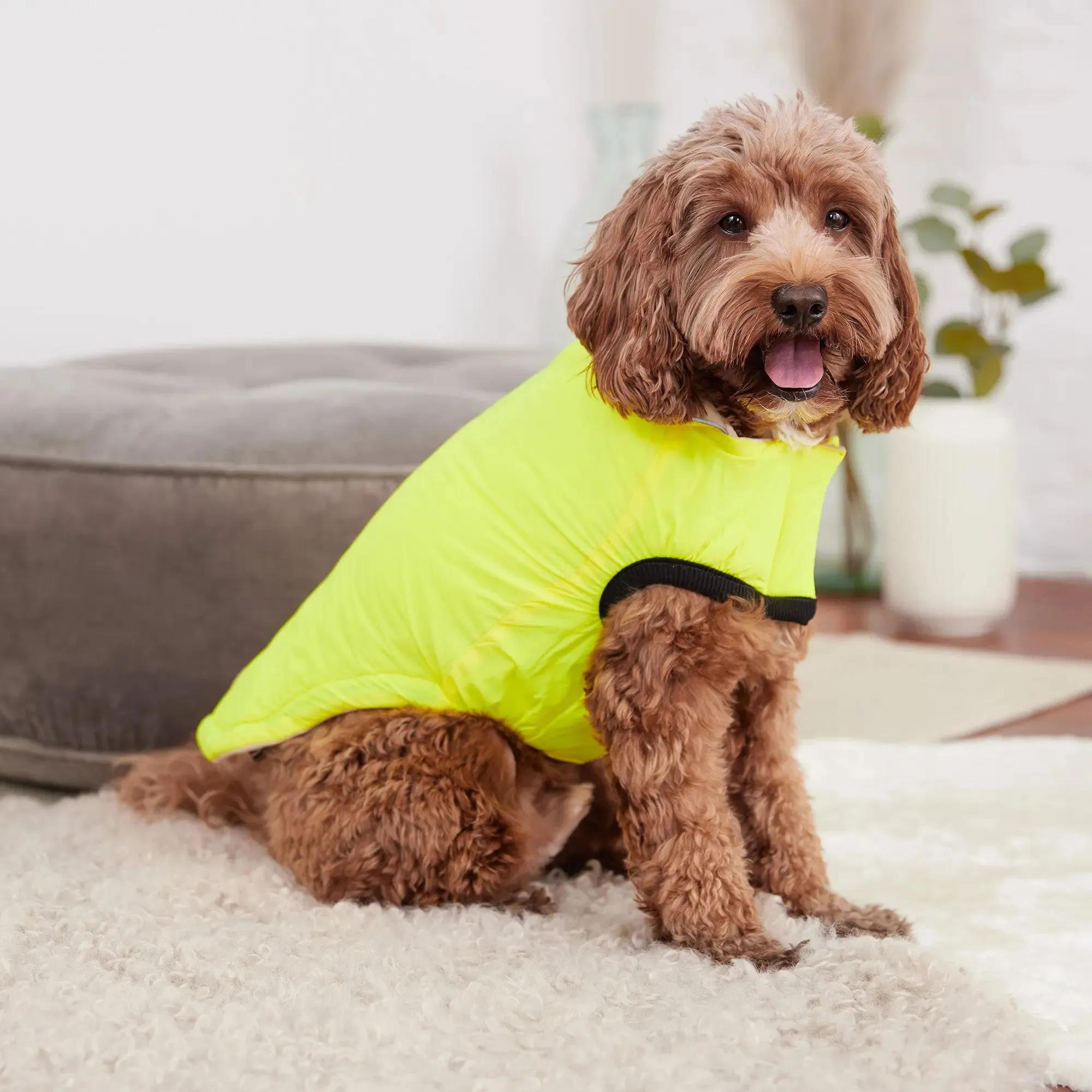 Reversible Chalet Dog Jacket | Sand / Neon Yellow