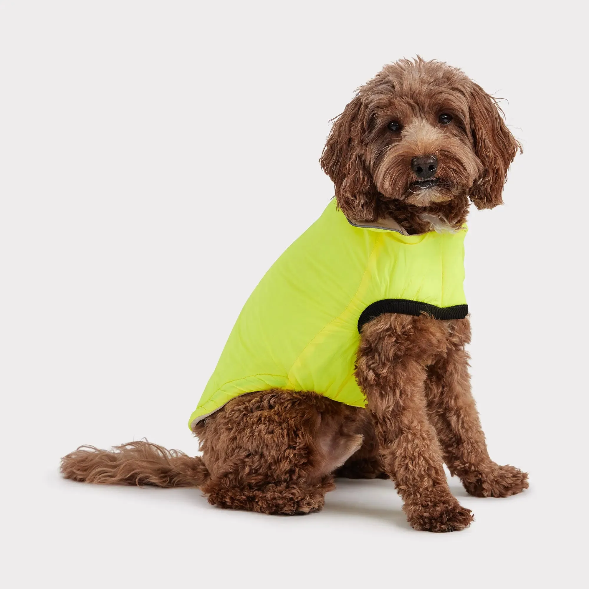 Reversible Chalet Dog Jacket | Sand / Neon Yellow