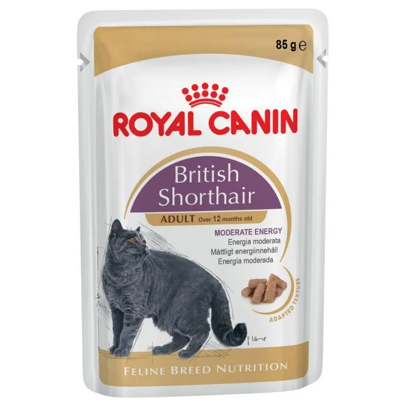 Royal Canin Breed British Shorthair Adult In Gravy - 85g