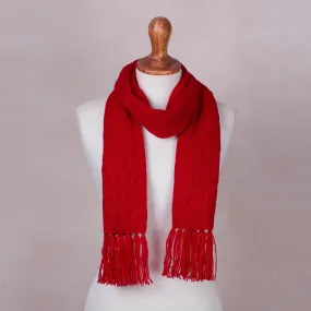 Soft Winter Red Knit Scarf